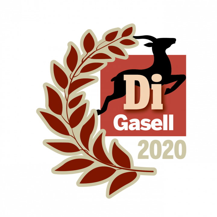 di_gasell_Gasellvinnare 2020_stående